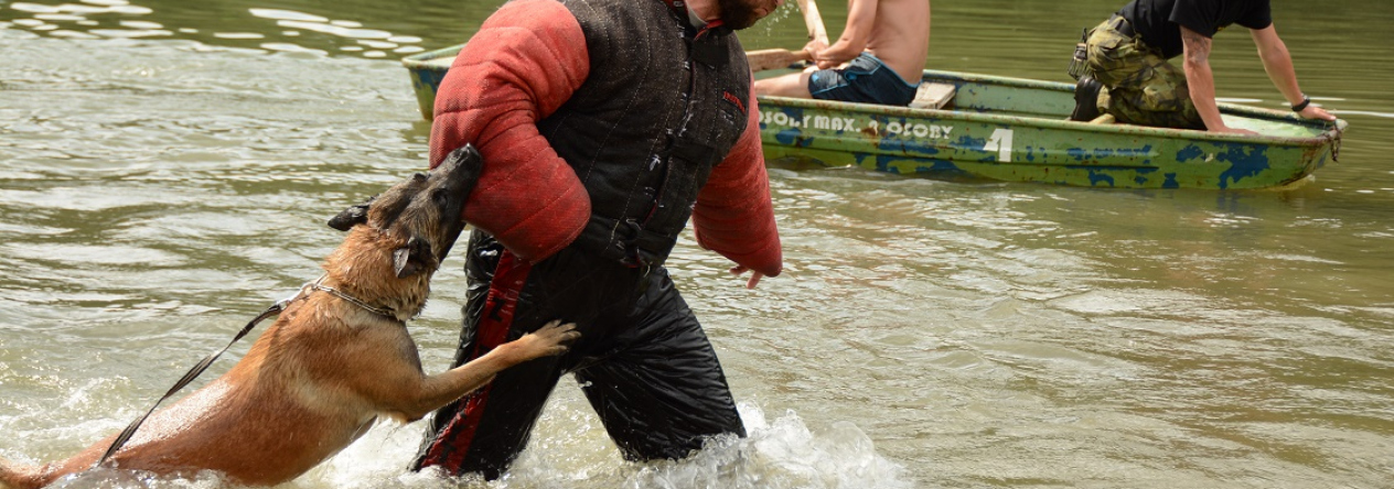 zadržení pachatele v jezeře
