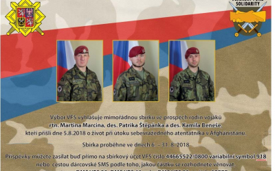 Mimořádná sbírka VFS
