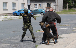 při dynamické ukázce vojenští policisté simulovali zadržení pachatele s pomocí služebního psa