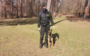 Parťáci